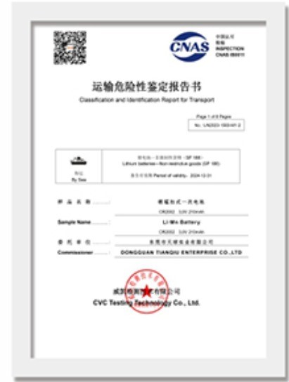 运输危险性鉴定报告（海运）