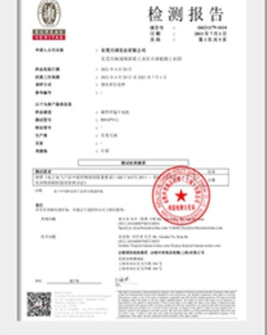 RoHS 检测报告